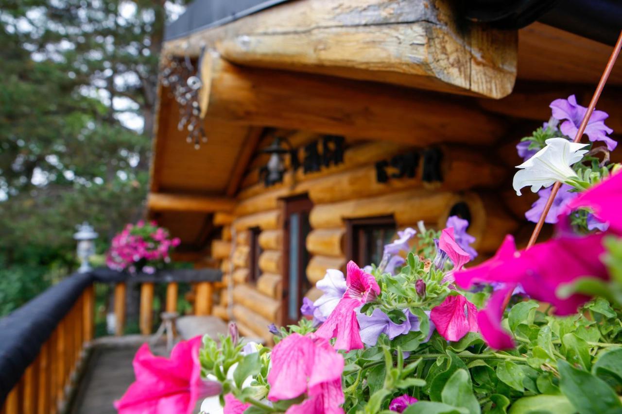 Casa Baciu Hotel Фунду Молдовей Екстериор снимка