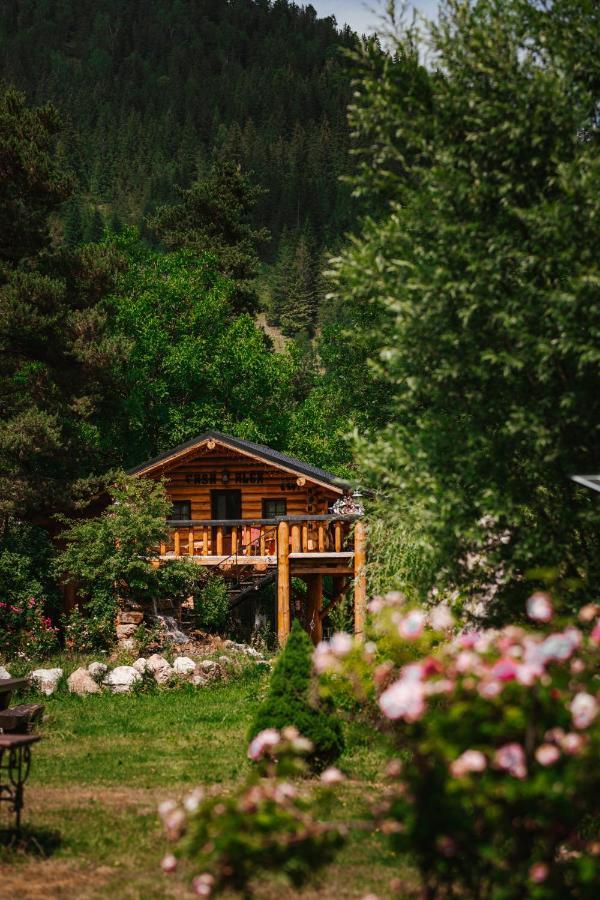 Casa Baciu Hotel Фунду Молдовей Екстериор снимка